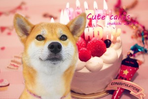 cake相原なな